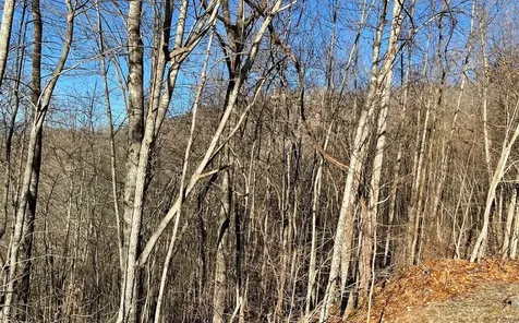 Lot 63 Dan Knob Hayesville NC 28904