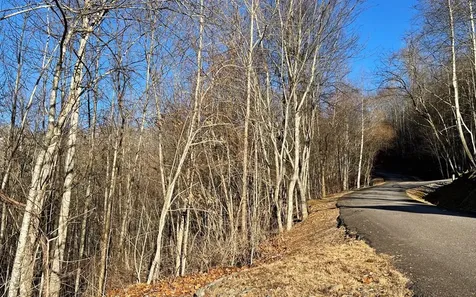 Lot 63 Dan Knob Hayesville NC 28904