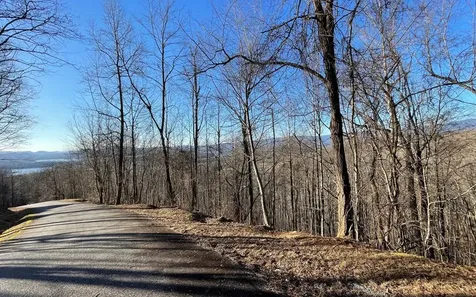 Lot 63 Dan Knob Hayesville NC 28904