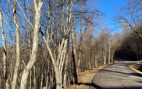 Lot 63 Dan Knob Hayesville NC 28904