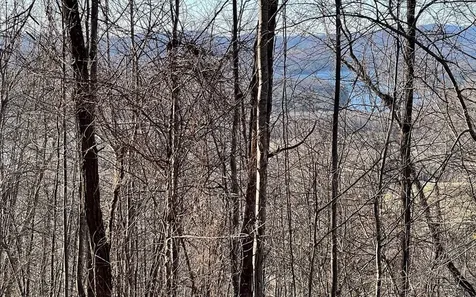 Lot 63 Dan Knob Hayesville NC 28904