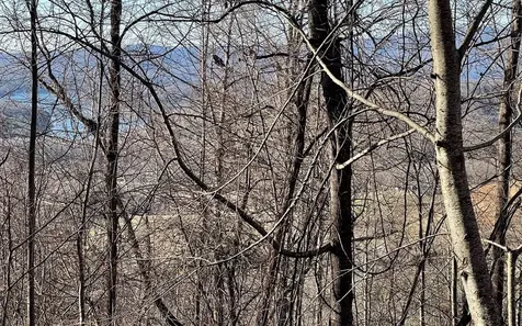 Lot 63 Dan Knob Hayesville NC 28904