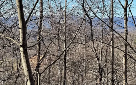 Lot 63 Dan Knob Hayesville NC 28904