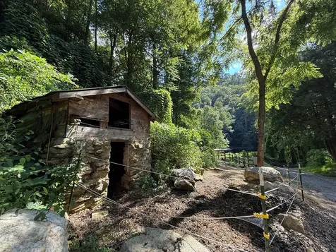 2555 Junaluska Road Andrews NC 28901