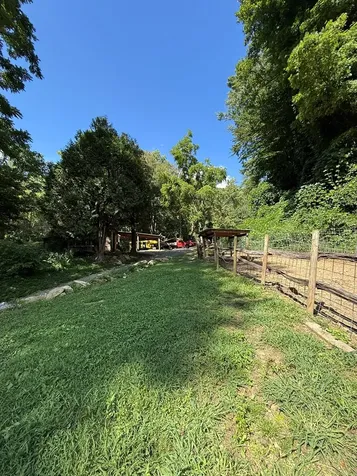2555 Junaluska Road Andrews NC 28901