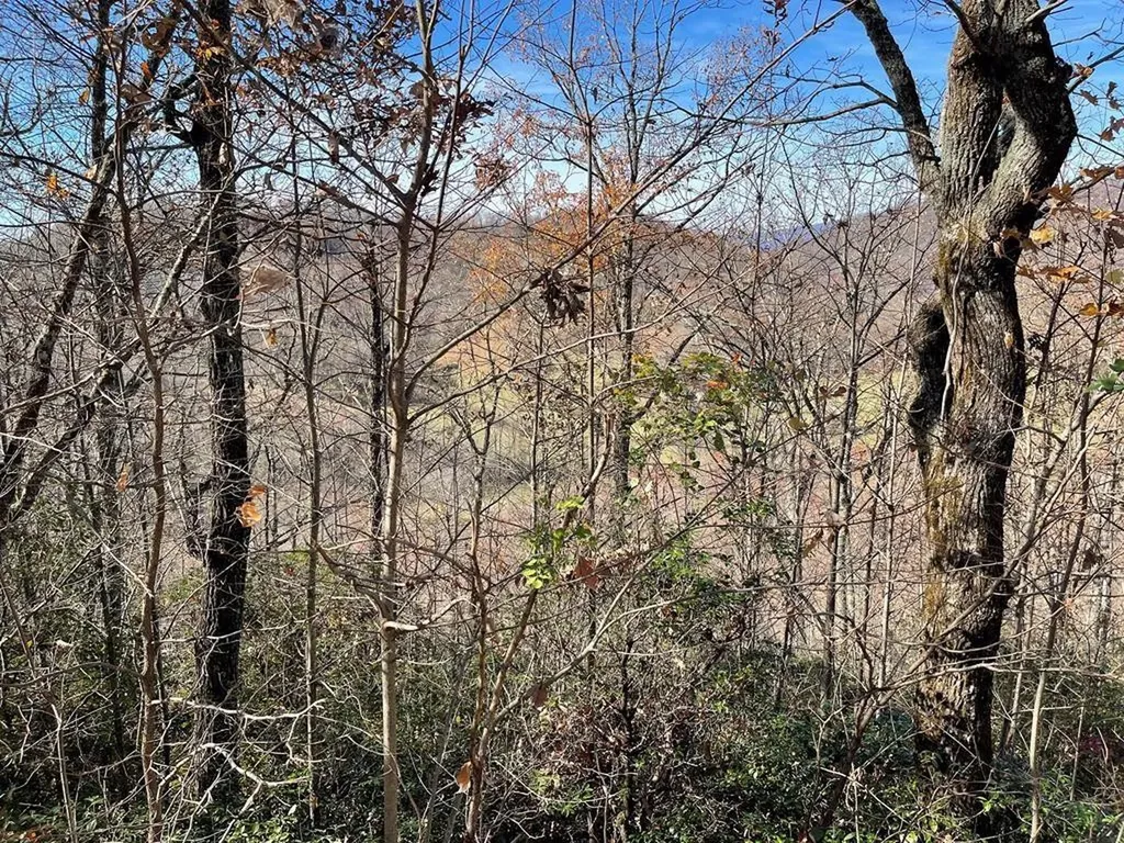Lot 31j Ash Branch Road Hayesville NC 28904