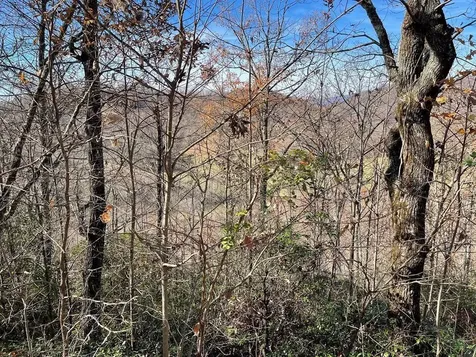 Lot 31j Ash Branch Road Hayesville NC 28904