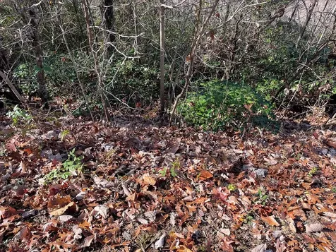 Lot 31j Ash Branch Road Hayesville NC 28904