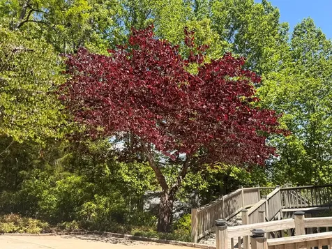 197 Eagles View Road Hayesville NC 28904