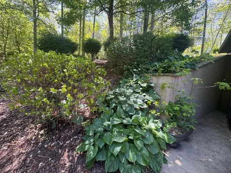197 Eagles View Road Hayesville NC 28904
