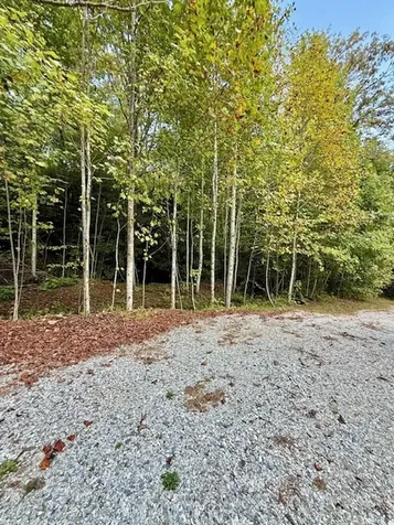 1351 Cody Branch Robbinsville NC 28771