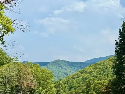1351 Cody Branch Robbinsville NC 28771