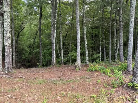 Lot 69 Thundering Hill Murphy NC 28906