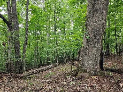 Lot 13-b Mountain Top Drive Murphy NC 28906