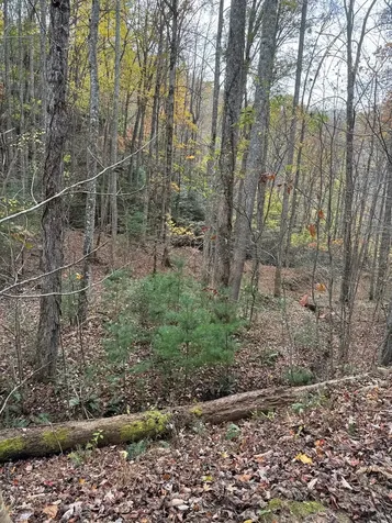 00 Heritage Trail Murphy NC 28906