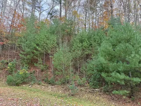 00 Heritage Trail Murphy NC 28906