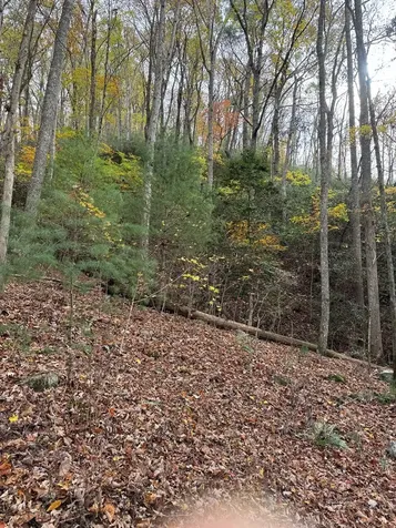 00 Heritage Trail Murphy NC 28906