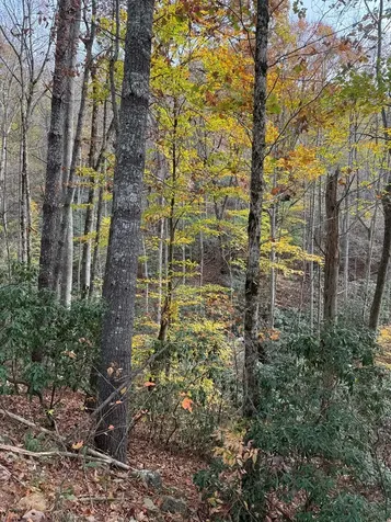 00 Heritage Trail Murphy NC 28906