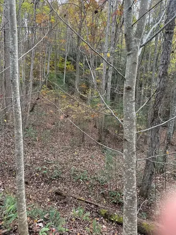 00 Heritage Trail Murphy NC 28906