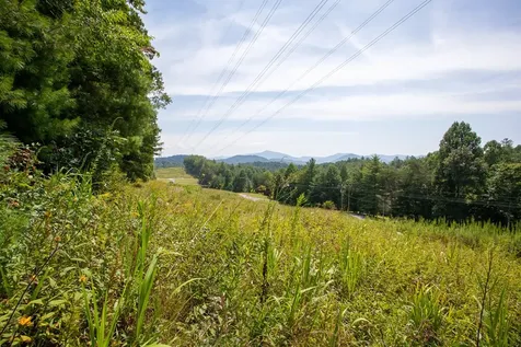 450 Betty Sue Deyton Road Robbinsville NC 28771
