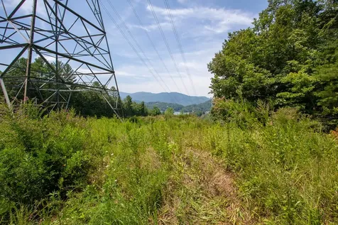 450 Betty Sue Deyton Road Robbinsville NC 28771
