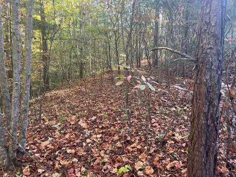 Lot 23 Trailblazer Way Murphy NC 28906