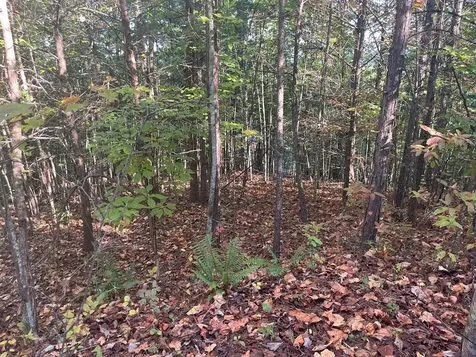 Lot 23 Trailblazer Way Murphy NC 28906