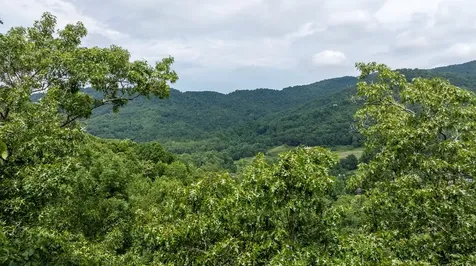 0 E Buffalo Robbinsville NC 28771