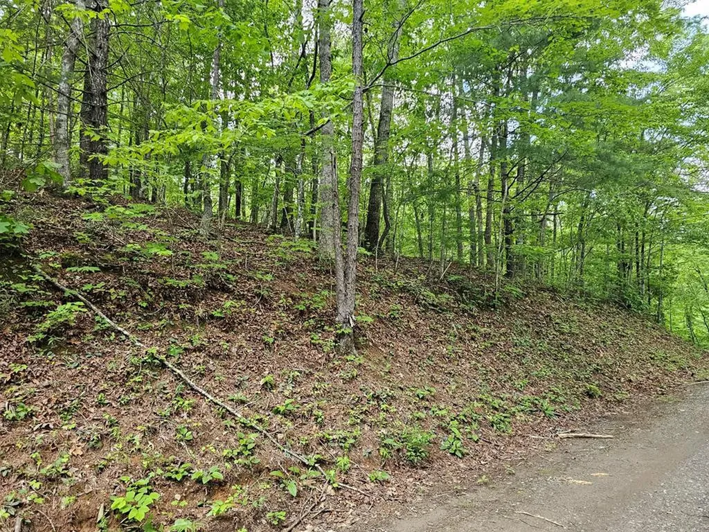7 Whispering Pines Murphy NC 28906