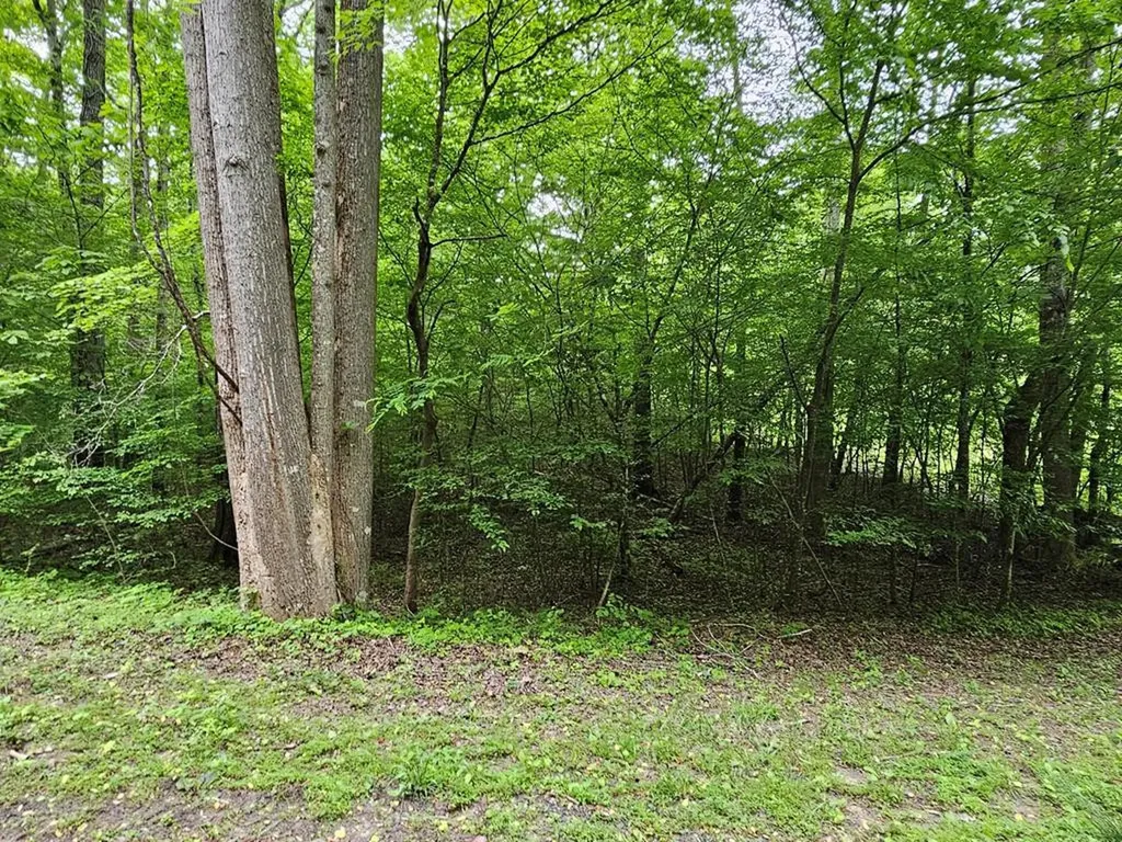 17 Lonesome Pine Murphy NC 28906
