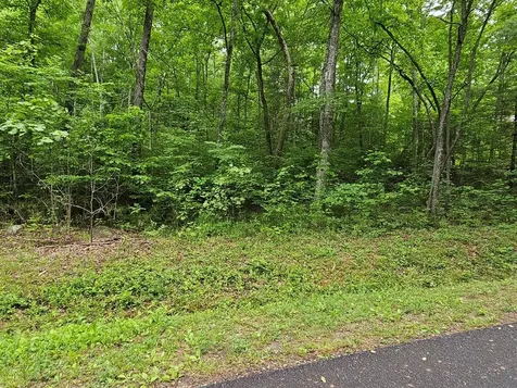 17 Lonesome Pine Murphy NC 28906