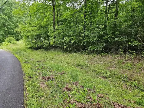 17 Lonesome Pine Murphy NC 28906