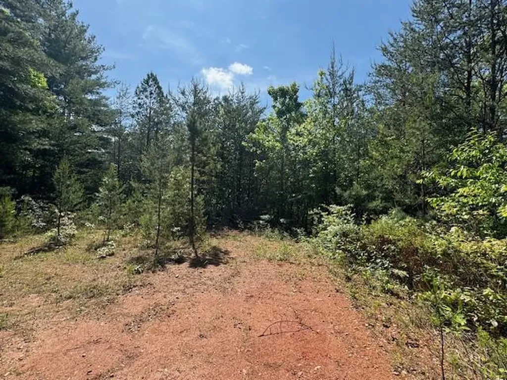 Lot 9 Paradise Marble NC 28905