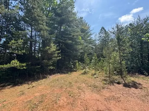 Lot 9 Paradise Marble NC 28905
