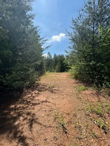 Lot 9 Paradise Marble NC 28905