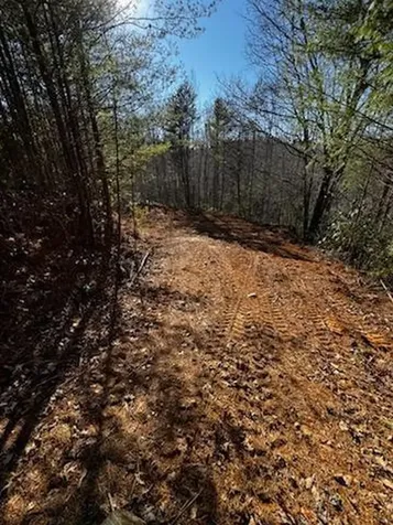Lot 16 Paradise Marble NC 28905