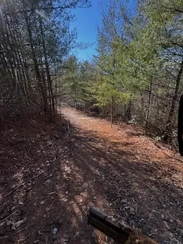Lot 16 Paradise Marble NC 28905