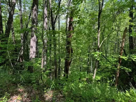 Lot 16 Paradise Marble NC 28905