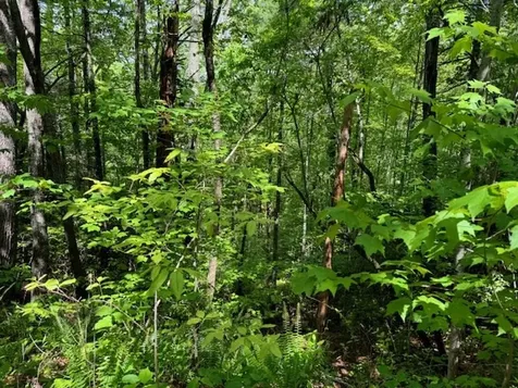 Lot 16 Paradise Marble NC 28905