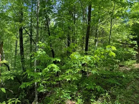 Lot 16 Paradise Marble NC 28905