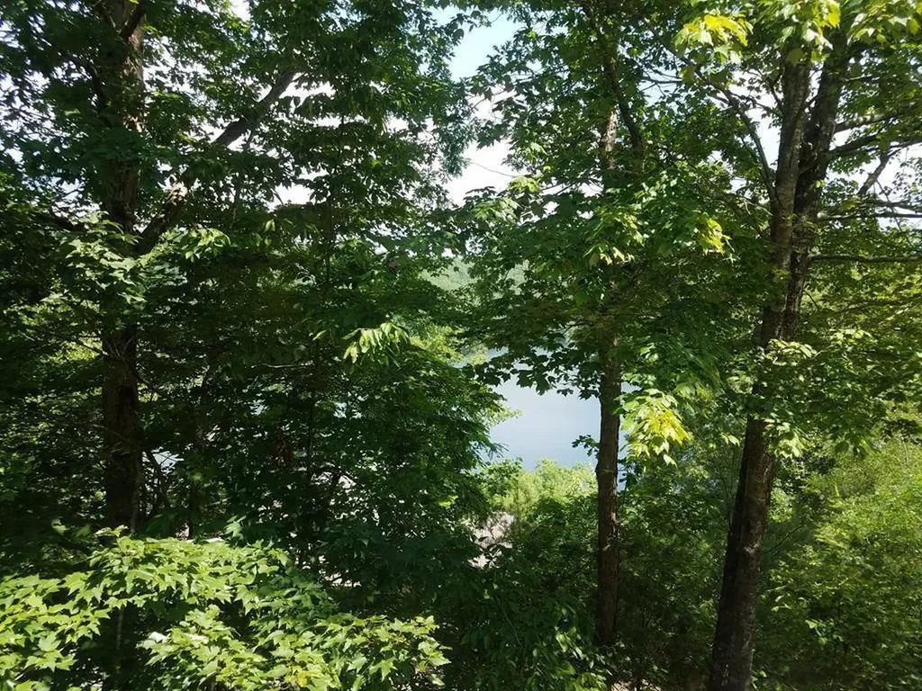Lot 43 Kestrel Ridge Circle Murphy NC 28906