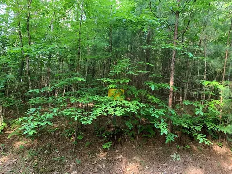 Lot 43 Kestrel Ridge Circle Murphy NC 28906
