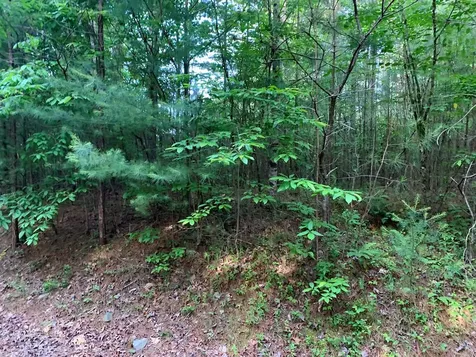 Lot 43 Kestrel Ridge Circle Murphy NC 28906
