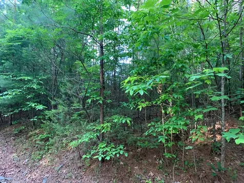 Lot 43 Kestrel Ridge Circle Murphy NC 28906