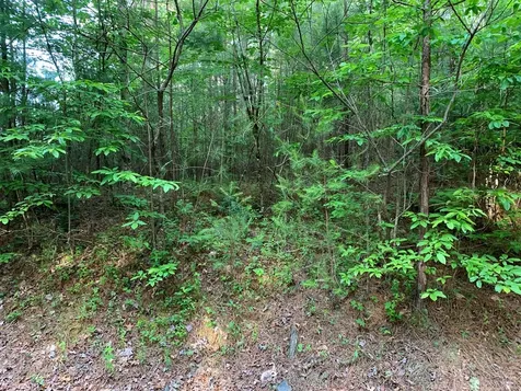 Lot 43 Kestrel Ridge Circle Murphy NC 28906