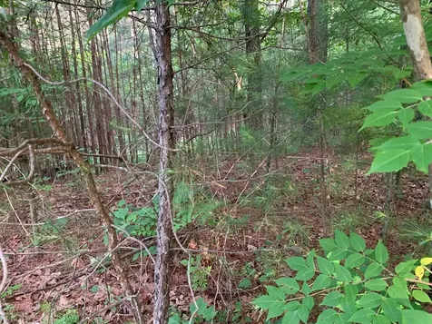Lot 43 Kestrel Ridge Circle Murphy NC 28906