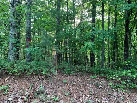 Lot 43 Kestrel Ridge Circle Murphy NC 28906