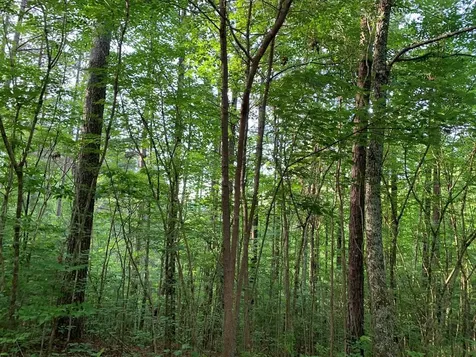 Lot 43 Kestrel Ridge Circle Murphy NC 28906