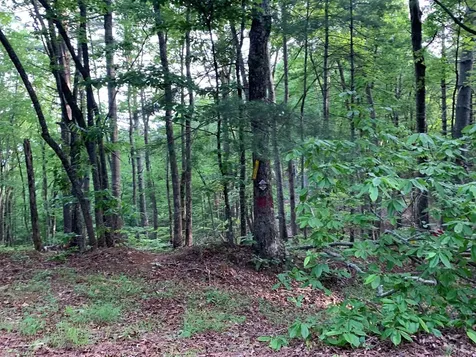 Lot 43 Kestrel Ridge Circle Murphy NC 28906