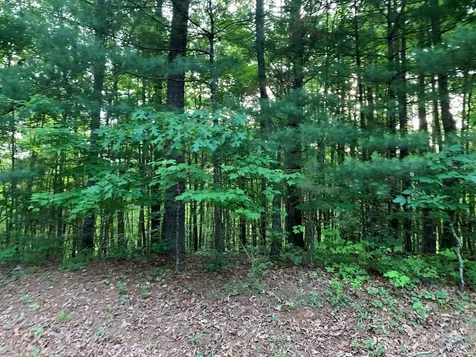 Lot 43 Kestrel Ridge Circle Murphy NC 28906